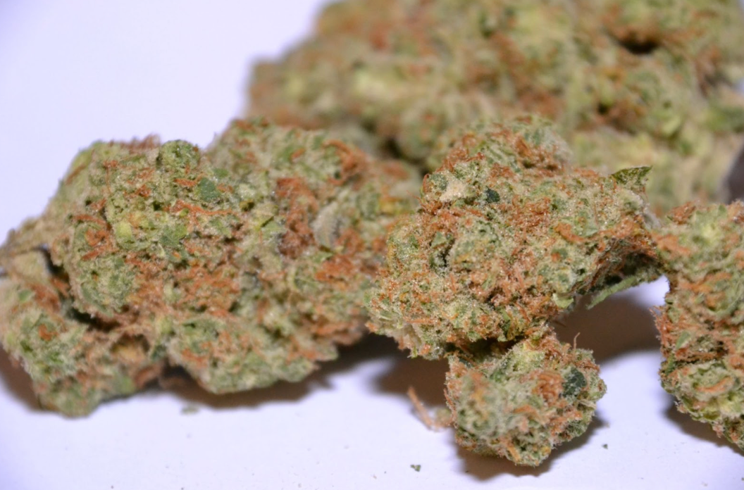 Amnesia Haze Blüte in Nahaufnahme