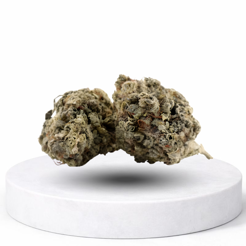 Banana Sour CBD Blüten – dichte Hanfblüten mit fruchtigem Terpenprofil auf Präsentationspodest