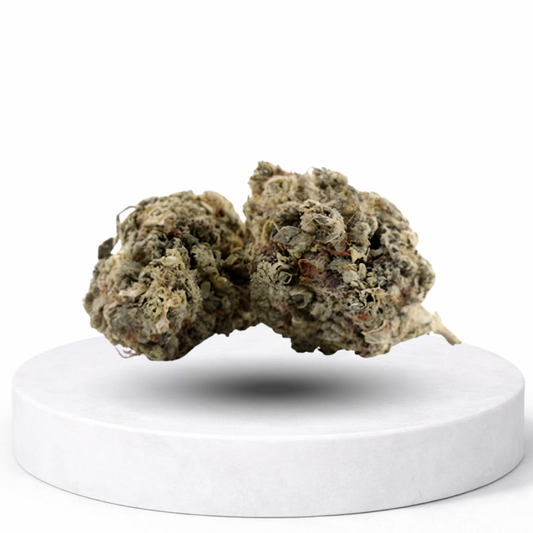 Banana Sour CBD Blüten – dichte Hanfblüten mit fruchtigem Terpenprofil auf Präsentationspodest