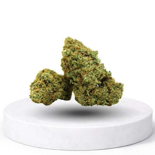 Chocolope CBD Blüten – helle, harzige Hanfblüten mit süßlichem Terpenprofil auf Podest