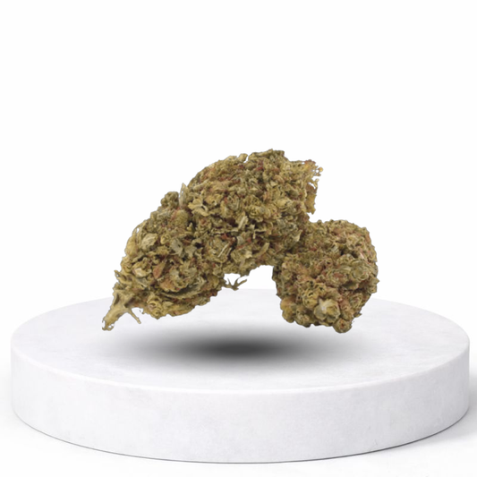 OREOZ CBD Blüten – dichte Hanfblüten mit süßem Cookie-Terpenprofil auf weißem Podest