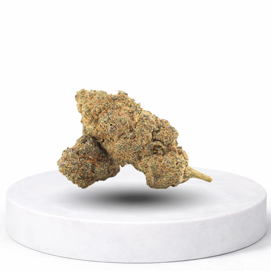 Sour Sherpert CBD Blüten – aromatische Hanfblüten mit fruchtigem Sherbet-Terpenprofil